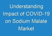 Understanding Impact of COVID-19 on Sodium Malate Market