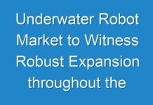 Underwater Robot Market to Witness Robust Expansion throughout the Forecast Period 2016 – 2026