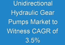 Unidirectional Hydraulic Gear Pumps Market to Witness CAGR of 3.5% and Increase in Value Share By the Forecast Period 2028