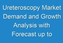 Ureteroscopy Market Demand and Growth Analysis with Forecast up to 2026