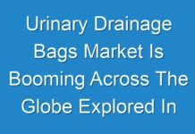 Urinary Drainage Bags Market Is Booming Across The Globe Explored In Latest Research 2017 – 2025
