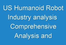 US Humanoid Robot Industry analysis Comprehensive Analysis and Future Estimations 2017 – 2025