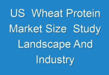 US Wheat Protein Market Size Study Landscape And Industry Innovations Encountered Huge Growth By 2017 – 2025