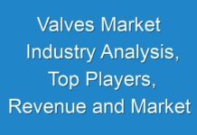 Valves Market Industry Analysis, Top Players, Revenue and Market Share Report