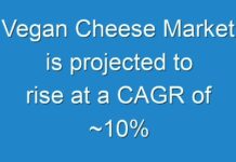 Vegan Cheese Market is projected to rise at a CAGR of ~10%