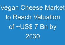Vegan Cheese Market to Reach Valuation of ~US$ 7 Bn by 2030