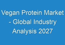 Vegan Protein Market – Global Industry Analysis 2027