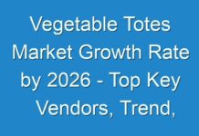 Vegetable Totes Market Growth Rate by 2026 – Top Key Vendors, Trend, Segmentation, Drivers, Challenges