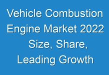Vehicle Combustion Engine Market 2024 Size, Share, Leading Growth Drivers, Emerging Audience, Segments, Industry Sales, Profits & Analysis