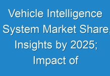 Vehicle Intelligence System Market Share, Insights by 2025; Impact of COVID-19 on the Global Market
