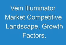 Vein Illuminator Market Competitive Landscape, Growth Factors, Revenue Analysis, 2024–2026