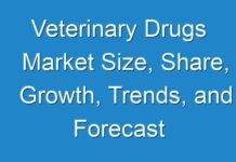 Veterinary Drugs Market Size, Share, Growth, Trends, and Forecast 2016-2024