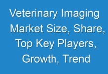 Veterinary Imaging Market Size, Share, Top Key Players, Growth, Trend and Forecast Till 2027