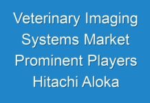 Veterinary Imaging Systems Market Prominent Players Hitachi Aloka Medical Ltd., Esaote SpA, Canon U.S.A. Inc.