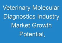 Veterinary Molecular Diagnostics Industry Market Growth Potential, Analysis Report, Future Plans, Business Distribution, Application and Outlook | COVID-19 Impact