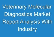 Veterinary Molecular Diagnostics Market Report Analysis With Industry Share Published by Leading Research Firm