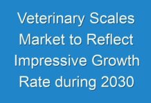 Veterinary Scales Market to Reflect Impressive Growth Rate during 2030
