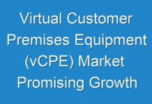 Virtual Customer Premises Equipment (vCPE) Market Promising Growth Opportunities and Forecast 2019 – 2027