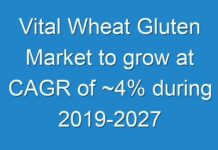 Vital Wheat Gluten Market to grow at CAGR of ~4% during 2019-2027