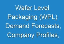Wafer Level Packaging (WPL) Demand Forecasts, Company Profiles, Industry Trends