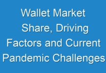 Wallet Market Share, Driving Factors and Current Pandemic Challenges Analysis 2024 – 2031