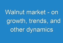 Walnut market – on growth, trends, and other dynamics