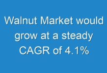 Walnut Market would grow at a steady CAGR of 4.1%