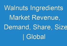 Walnuts Ingredients Market Revenue, Demand, Share, Size | Global Industry Analysis and Research Report 2027