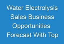 Water Electrolysis Sales Business Opportunities Forecast With Top Companies, Growth Factors, Classification, 2024-2030