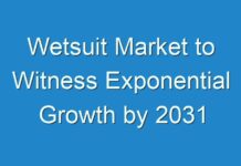 Wetsuit Market to Witness Exponential Growth by 2031