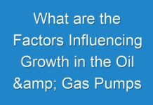 What are the Factors Influencing Growth in the Oil & Gas Pumps Market?