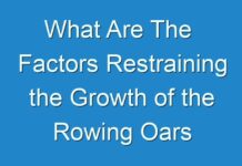 What Are The Factors Restraining the Growth of the Rowing Oars Market??, Long-Term Outlook On The Market 2018 to 2028