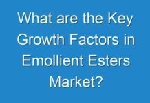 What are the Key Growth Factors in Emollient Esters Market?