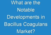 What are the Notable Developments in Bacillus Coagulans Market?