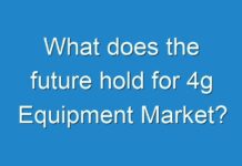What does the future hold for 4g Equipment Market?
