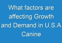 What factors are affecting Growth and Demand in U.S.A Canine Influenza Treatment Market | Trends and Forecast till 2028 by Fact.MR