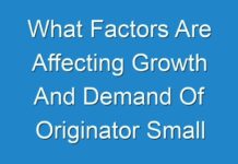 What Factors Are Affecting Growth And Demand Of Originator Small Molecule Drug Market ? Finds Fact.MR Report