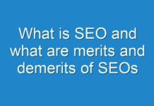 What is SEO and what are merits and demerits of SEOs