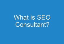 What is SEO Consultant?