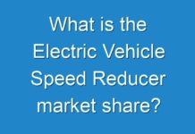 What is the Electric Vehicle Speed Reducer market share?