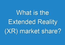 What is the Extended Reality (XR) market share?