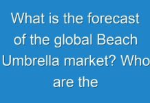 What is the forecast of the global Beach Umbrella market? Who are the leading key players?