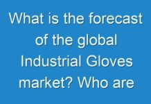 What is the forecast of the global Industrial Gloves market? Who are the leading key players?