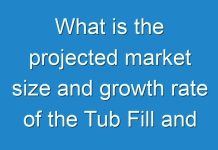 What is the projected market size and growth rate of the Tub Fill and Seal Machines Market?