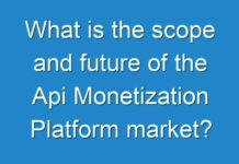 What is the scope and future of the Api Monetization Platform market?