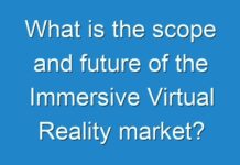 What is the scope and future of the Immersive Virtual Reality market?