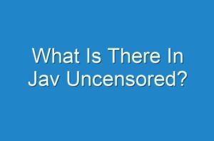 What Is There In Jav Uncensored? - Guides, Business, Reviews and Technology