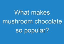 What makes mushroom chocolate so popular?