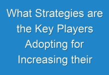 What Strategies are the Key Players Adopting for Increasing their Market Share in the Immunodermatology Market?