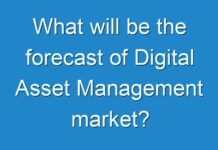 What will be the forecast of Digital Asset Management market?